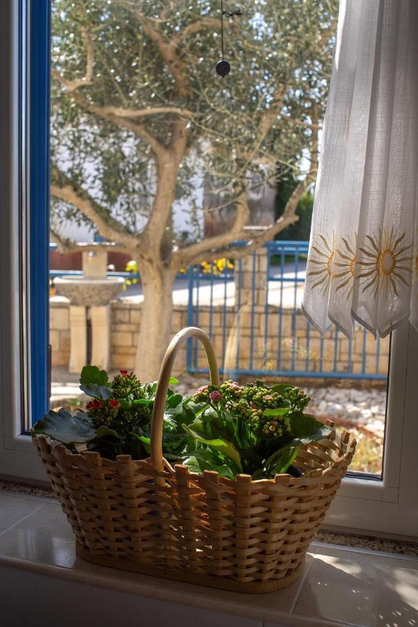 Olive Tree Apartments Umag Exteriér fotografie