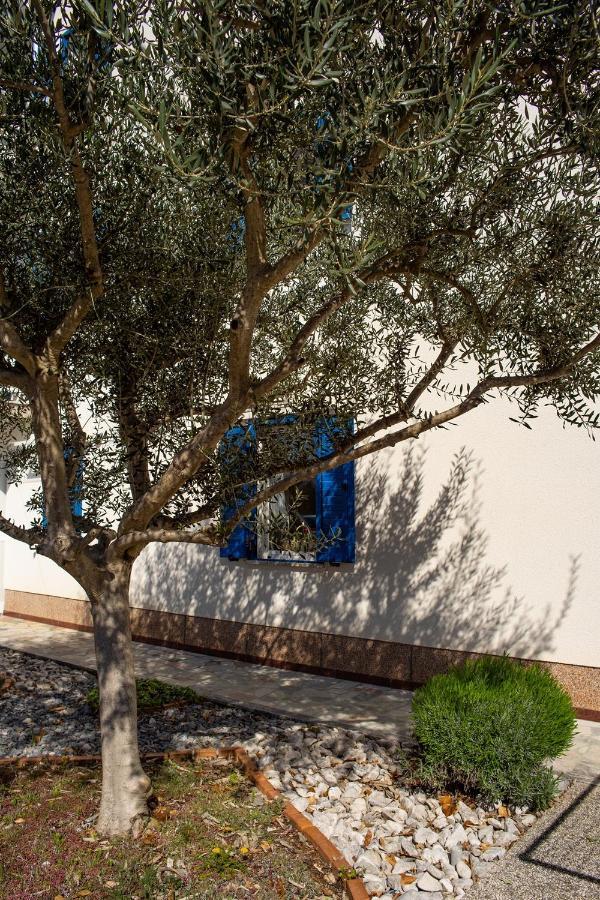 Olive Tree Apartments Umag Exteriér fotografie