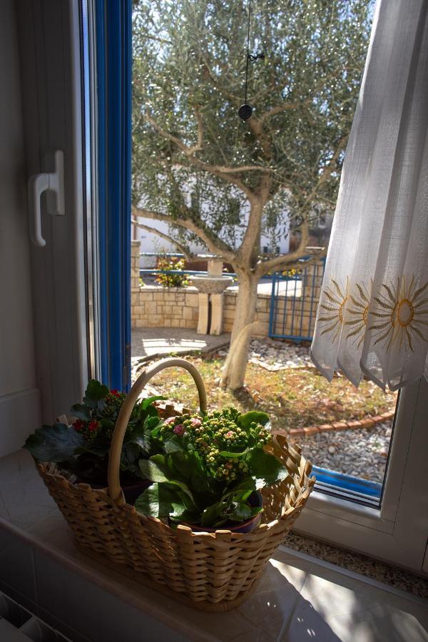 Olive Tree Apartments Umag Exteriér fotografie