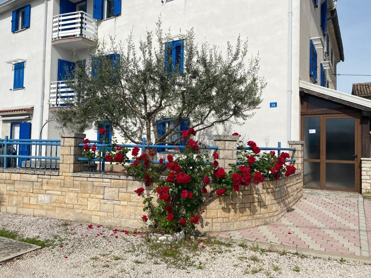 Olive Tree Apartments Umag Exteriér fotografie